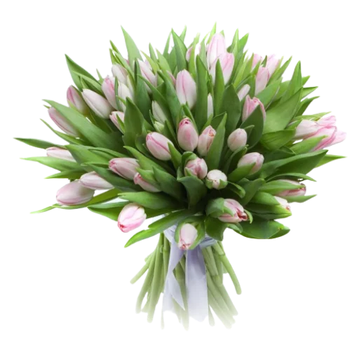 💐 Стикер «Цветы • Flowers» для Telegram
