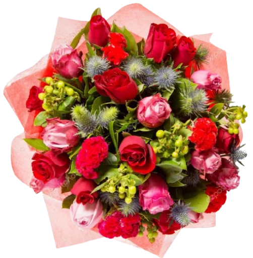 💐 Стикер «Цветы • Flowers» для Telegram
