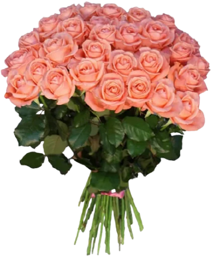 💐 Стикер «Цветы • Flowers» для Telegram