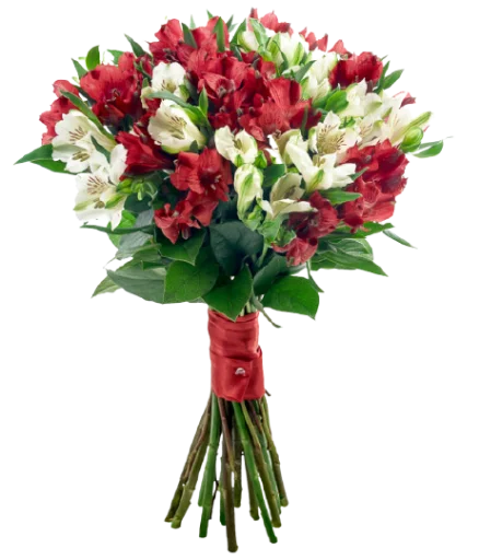 💐 Стикер «Цветы • Flowers» для Telegram