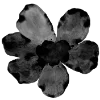 Стикер 6 Flowers