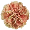 Стикер 27 Flowers