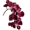 Стикер 11 Flowers