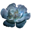 Стикер 29 Flowers