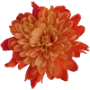 Стикер 26 Flowers