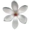 Стикер 37 Flowers
