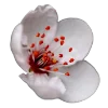 Стикер 49 Flowers