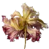 Стикер 18 Flowers