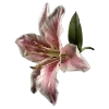 Стикер 41 Flowers