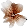 Обложка набора Flowers