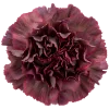 Стикер 3 Flowers