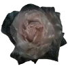 Стикер 40 Flowers