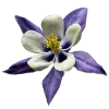 Стикер 46 Flowers