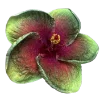 Стикер 34 Flowers