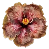 Стикер 31 Flowers