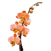 Стикер 54 Flowers
