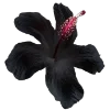 Стикер 30 Flowers