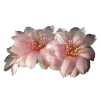 Стикер 51 Flowers