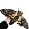 Стикер 14 Moths