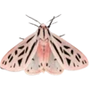Стикер 26 Moths