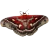 Стикер 29 Moths