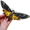 Стикер 37 Moths