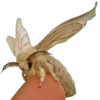 Стикер 15 Moths
