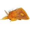 Стикер 21 Moths