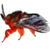 Стикер 44 Moths