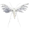 Стикер 46 Moths