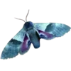 Стикер 22 Moths