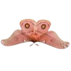 Стикер 27 Moths
