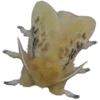 Стикер 40 Moths
