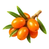 Стикер 21 🍊 Нутрициолог-пак
