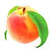 Обложка набора 🍊 Нутрициолог-пак