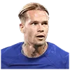 Стикер 42 Football Frenzy