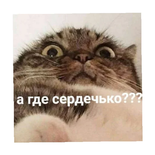 😠 Стикер «For every occasion 4» для Telegram