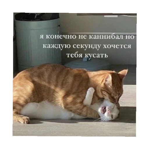 💋 Стикер «For every occasion 4» для Telegram