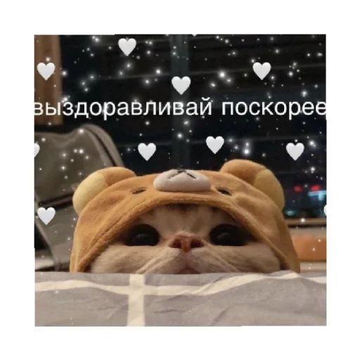 🥺 Стикер «For every occasion 4» для Telegram