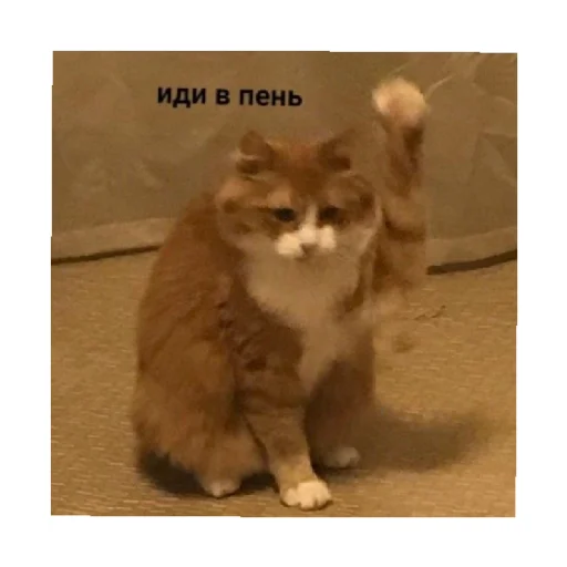 😒 Стикер «For every occasion 4» для Telegram