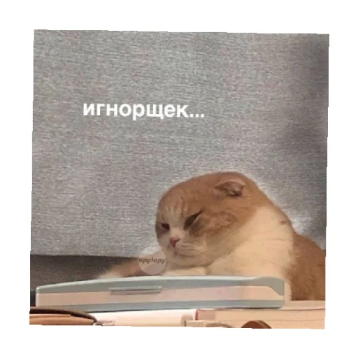 😒 Стикер «For every occasion 4» для Telegram