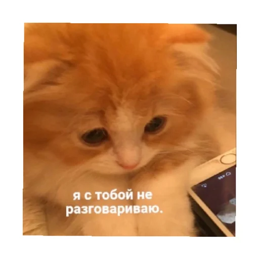 😒 Стикер «For every occasion 4» для Telegram