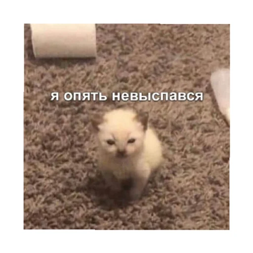 😫 Стикер «For every occasion 4» для Telegram