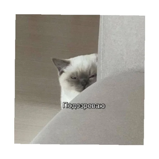😠 Стикер «For every occasion 4» для Telegram