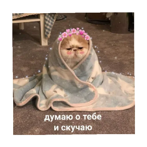 😔 Стикер «For every occasion 4» для Telegram