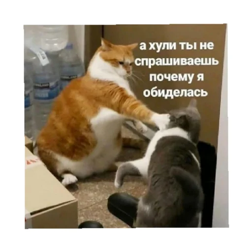 😠 Стикер «For every occasion 4» для Telegram