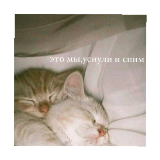 😴 Стикер «For every occasion 4» для Telegram