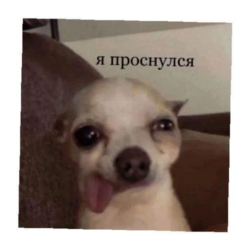 🥱 Стикер «For every occasion 4» для Telegram