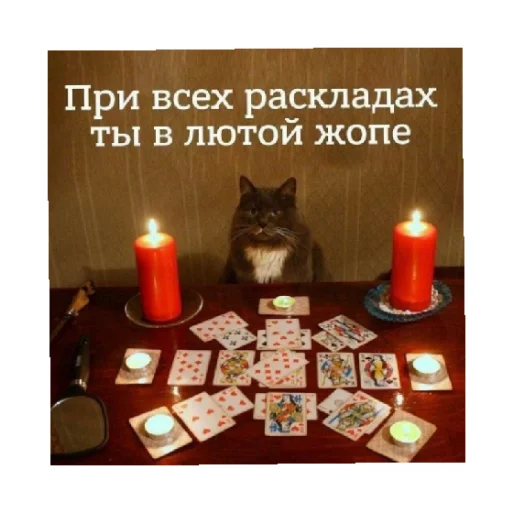 🗿 Стикер «For every occasion 4» для Telegram