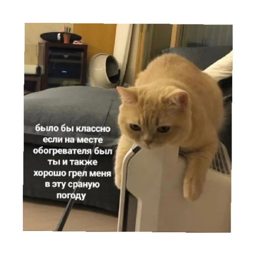 🥰 Стикер «For every occasion 4» для Telegram
